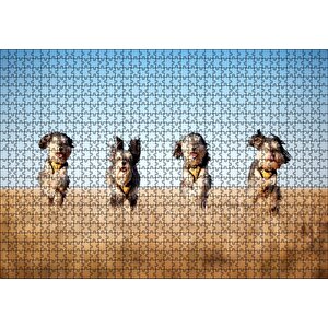 Kuru Otların Arasında Koşan 4 Sevimli Terrier Puzzle Yapboz Mdf Ahşap 1000 Parça