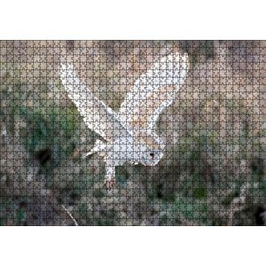 Çayırda Konmaya Hazırlanan Beyaz Baykuş Puzzle Yapboz Mdf Ahşap 1000 Parça