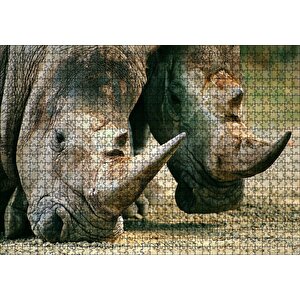 Efsanevi Gergedanlar Yakın Çekim Puzzle Yapboz Mdf Ahşap 1000 Parça