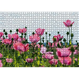 Çayırda Pembe Gelincikler Ve Gökyüzü Puzzle Yapboz Mdf Ahşap 1000 Parça