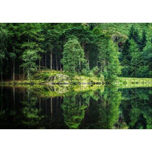Su Ve Yeşilin İnanılmaz Buluşması Puzzle Yapboz Mdf Ahşap 255 Parça