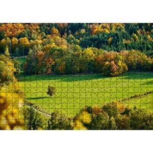Ormanın Ortasındaki Yemyeşil Arazi Ve Yalnız Ağaç Puzzle Yapboz Mdf Ahşap 500 Parça