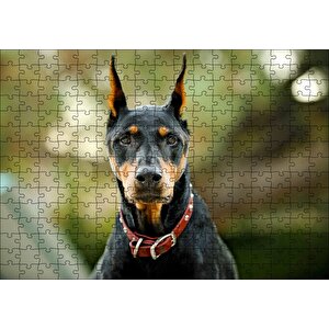 Kırmızı Tasmalı Doberman Flu Arkaplan Puzzle Yapboz Mdf Ahşap 255 Parça