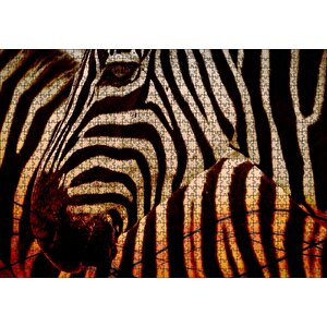 Günbatımında Zebra Desenleri Yakın Çekim Puzzle Yapboz Mdf Ahşap 1000 Parça