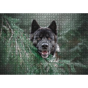 Akita Kahverengi Siyah Köpek Ve Çam Yaprakları Puzzle Yapboz Mdf Ahşap 1000 Parça