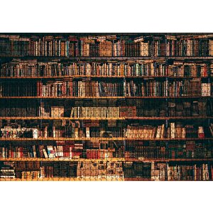 Zengin Kitaplık Puzzle Yapboz Mdf Ahşap 1000 Parça