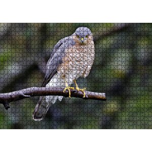 Dalda Etrafı Kolaçan Eden Doğan Puzzle Yapboz Mdf Ahşap 1000 Parça