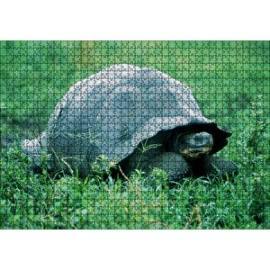 Yeşil Çayırdaki Kaplumbağa Puzzle Yapboz Mdf Ahşap 1000 Parça