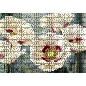 Kırmızı Beyaz Kasımpatı Çiçekleri Puzzle Yapboz Mdf Ahşap 1000 Parça