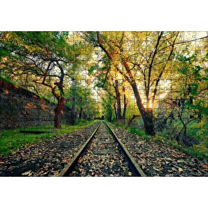Ormanın İçinden Geçen Trenyolu Ve Güneş Işıkları Puzzle Yapboz Mdf Ahşap 255 Parça