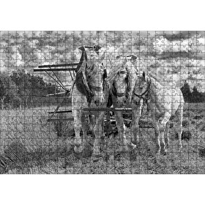Hasat Yapan İki At Ve Yanlarındaki Tay Monokrom Puzzle Yapboz Mdf Ahşap 500 Parça