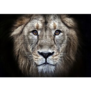 Erkek Aslan Siyah Zemin Puzzle Yapboz Mdf Ahşap 255 Parça