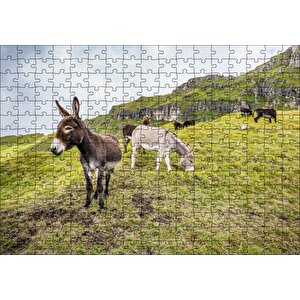 Yeşil Tepelerde Otlayan Eşekler Puzzle Yapboz Mdf Ahşap 255 Parça