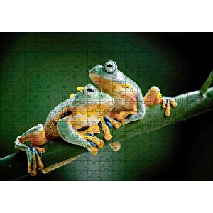 Yeşil Dalda Bir Çift Kurbağa Puzzle Yapboz Mdf Ahşap 255 Parça