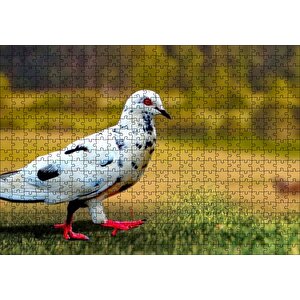 Kırmızı Ayaklı Damalı Beyaz Güvercin Puzzle Yapboz Mdf Ahşap 500 Parça
