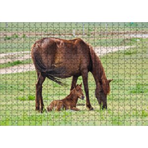 Çayırda Kahverengi Anne At Ve Sevimli Tayı Puzzle Yapboz Mdf Ahşap 500 Parça