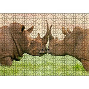 Yeşil Çayırdaki Erkek Ve Dişi Gergedan Puzzle Yapboz Mdf Ahşap 1000 Parça