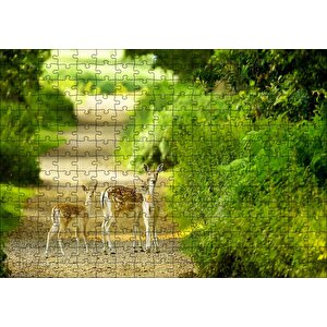 Orman Patikasında Anne Ceylan Ve Yavruları Puzzle Yapboz Mdf Ahşap 255 Parça