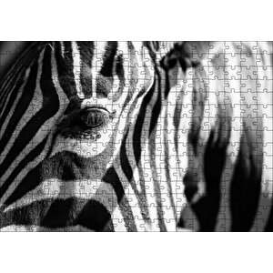 Zebra Yakın Çekim Siyah Beyaz Puzzle Yapboz Mdf Ahşap 255 Parça