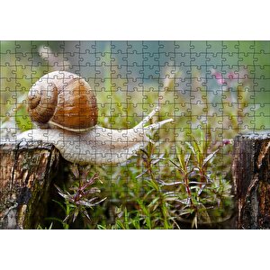 Kütükten Otların Üzerine İnen Salyangoz Puzzle Yapboz Mdf Ahşap 255 Parça