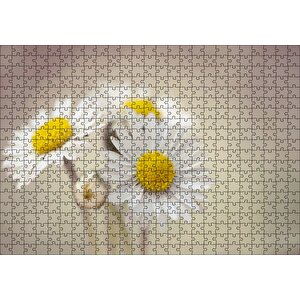 Üç Papatya Yakın Çekim Flu Arkaplan Puzzle Yapboz Mdf Ahşap 500 Parça