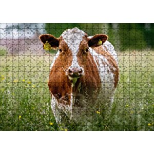 Çayırda Kahverengi Beyaz İnek Puzzle Yapboz Mdf Ahşap 500 Parça