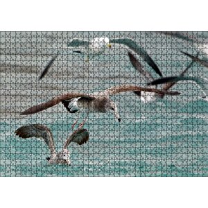 Martılar Ve Dalgalı Deniz Arka Plan Puzzle Yapboz Mdf Ahşap 1000 Parça