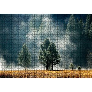 Sarı Çayırlar, Sık Orman Ve Sisler Puzzle Yapboz Mdf Ahşap 1000 Parça