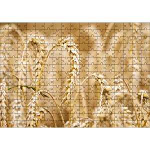 Eğilmiş Buğday Başakları Yakın Çekim Puzzle Yapboz Mdf Ahşap 255 Parça