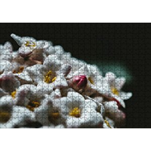 Beyaz Çiçeklerin Arasındaki Asi Pembe Puzzle Yapboz Mdf Ahşap 500 Parça