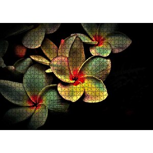 Bitkinin Dev Yaprakları Karanlık Arka Plan Puzzle Yapboz Mdf Ahşap 1000 Parça