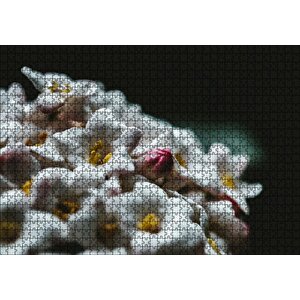 Beyaz Çiçeklerin Arasındaki Asi Pembe Puzzle Yapboz Mdf Ahşap 1000 Parça