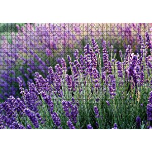 Lavanta Tarlası Yakın Çekim Detay Puzzle Yapboz Mdf Ahşap 1000 Parça