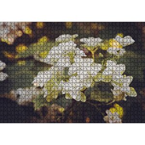Dalda Bembeyaz Çiçekler Flu Arka Plan Puzzle Yapboz Mdf Ahşap 1000 Parça