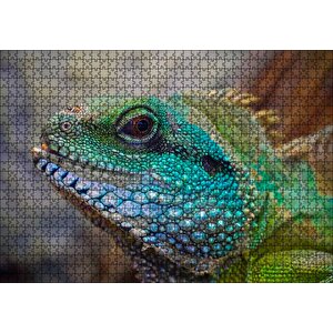 Yeşil Mavi Renkleriyle Kertenkele Yakın Çekim Puzzle Yapboz Mdf Ahşap 1000 Parça