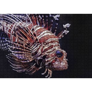 Aslan Balığı Yakın Çekim Karanlık Arka Plan Puzzle Yapboz Mdf Ahşap 500 Parça