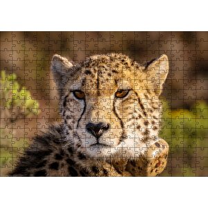 Çita Yakın Çekim Flu Savana Arka Plan Puzzle Yapboz Mdf Ahşap 255 Parça