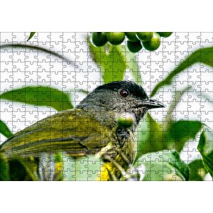 Gri Sarı Kuş Ve Dalda Yeşil Meyveler Puzzle Yapboz Mdf Ahşap 255 Parça