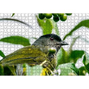 Gri Sarı Kuş Ve Dalda Yeşil Meyveler Puzzle Yapboz Mdf Ahşap 500 Parça