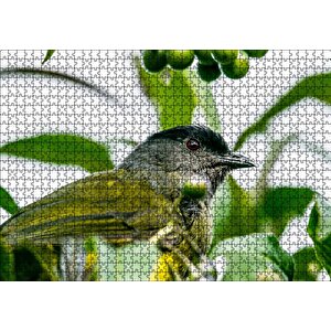 Gri Sarı Kuş Ve Dalda Yeşil Meyveler Puzzle Yapboz Mdf Ahşap 1000 Parça