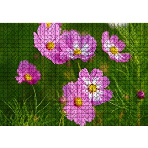 Pembe Beyaz Çiçekler Puzzle Yapboz Mdf Ahşap 1000 Parça