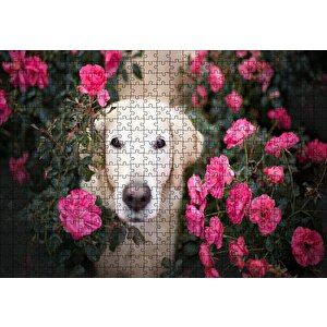 Beyaz Golden Retriever Çiçekler Arasında Puzzle Yapboz Mdf Ahşap 500 Parça