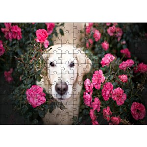 Beyaz Golden Retriever Çiçekler Arasında Puzzle Yapboz Mdf Ahşap 120 Parça