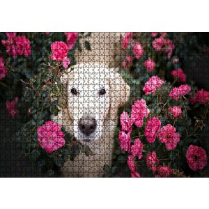 Beyaz Golden Retriever Çiçekler Arasında Puzzle Yapboz Mdf Ahşap 1000 Parça