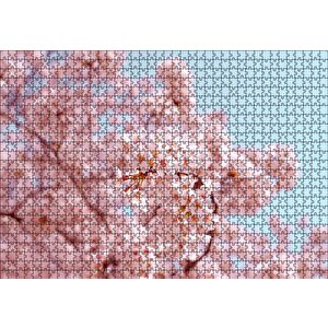 Dallarda Kiraz Çiçekleri Puzzle Yapboz Mdf Ahşap 1000 Parça