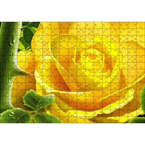 Sarı Gül Ve Diken Puzzle Yapboz Mdf Ahşap 255 Parça