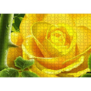 Sarı Gül Ve Diken Puzzle Yapboz Mdf Ahşap 500 Parça