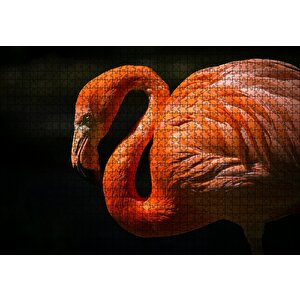 İhtiyar Flamingo Karanlık Arka Plan Puzzle Yapboz Mdf Ahşap 1000 Parça
