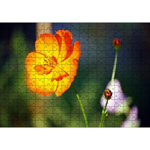 Yabani Portakal Çiçeği Puzzle Yapboz Mdf Ahşap 255 Parça
