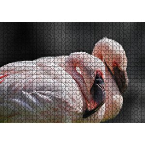 Uyuklayan Bir Çift Flamingo Puzzle Yapboz Mdf Ahşap 1000 Parça